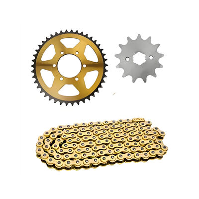Motorcycle Drive Chain Sprocket Kit Gold 520H-116L for ITALIKA 250Z RT250